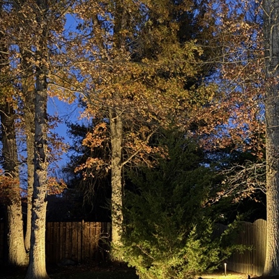 Landscapes & Gardens